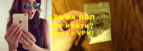 гидра Новодвинск