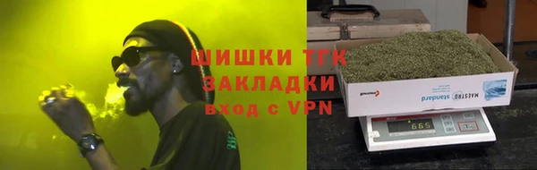 гидра Новодвинск