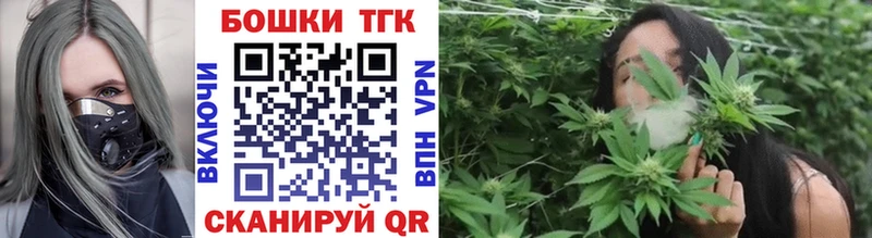 Бошки Шишки план  Куртамыш 